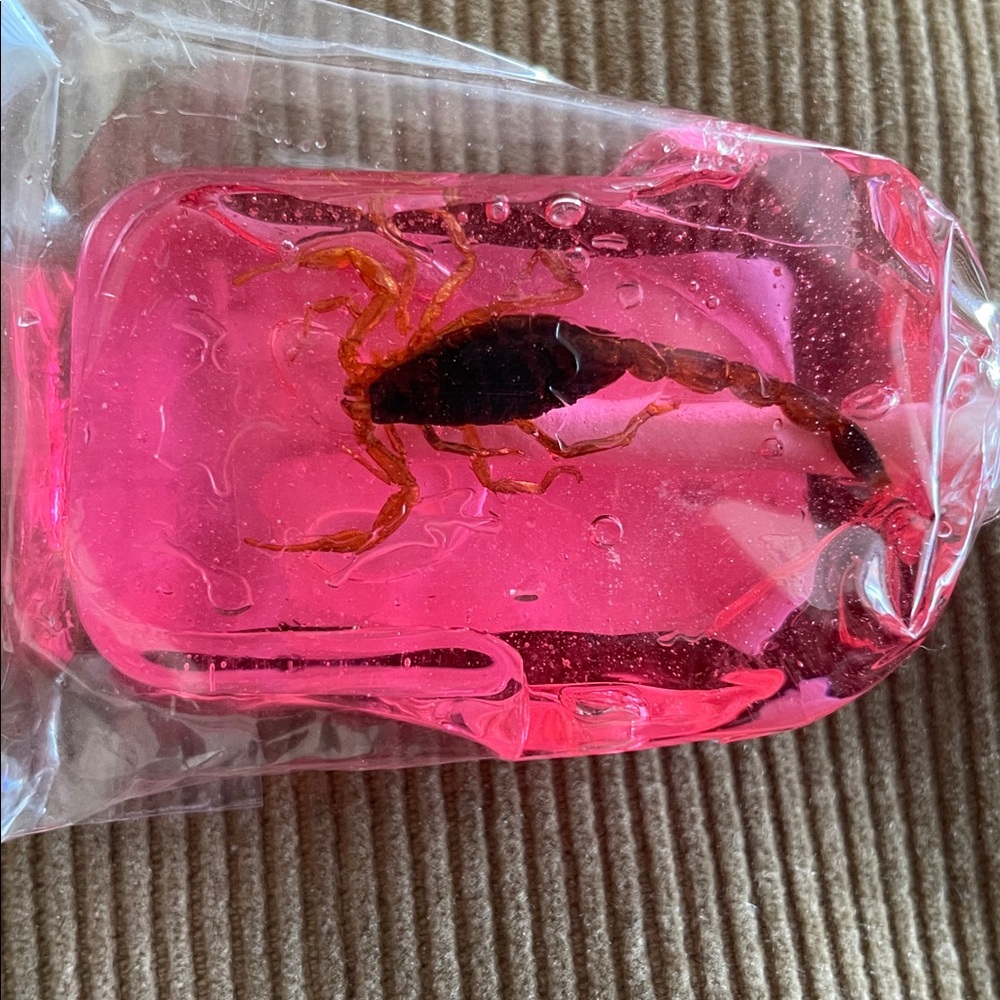 *Expired Decor Item - Strawberry  Scorpion Lollipop with Real Scorpion*